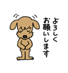 トイプー「マル」基本セット（個別スタンプ：10）