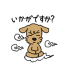 トイプー「マル」基本セット（個別スタンプ：11）