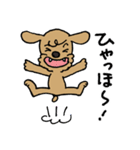トイプー「マル」基本セット（個別スタンプ：15）