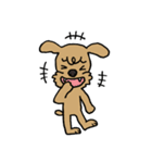 トイプー「マル」基本セット（個別スタンプ：17）