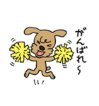 トイプー「マル」基本セット（個別スタンプ：19）