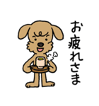 トイプー「マル」基本セット（個別スタンプ：20）