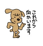 トイプー「マル」基本セット（個別スタンプ：25）