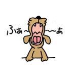 トイプー「マル」基本セット（個別スタンプ：31）