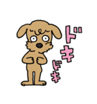 トイプー「マル」基本セット（個別スタンプ：34）