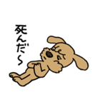 トイプー「マル」基本セット（個別スタンプ：40）