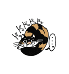 いぬ1ねこ5（個別スタンプ：5）