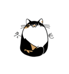 いぬ1ねこ5（個別スタンプ：7）
