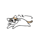 いぬ1ねこ5（個別スタンプ：9）