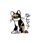 いぬ1ねこ5（個別スタンプ：13）