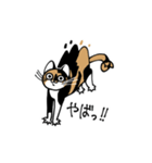 いぬ1ねこ5（個別スタンプ：14）