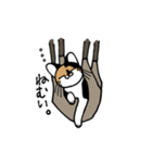 いぬ1ねこ5（個別スタンプ：15）