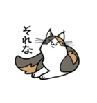 いぬ1ねこ5（個別スタンプ：17）