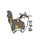 いぬ1ねこ5（個別スタンプ：19）