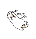いぬ1ねこ5（個別スタンプ：23）