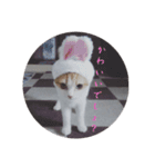 猫のミシェルちゃん（個別スタンプ：4）