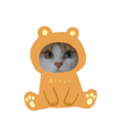 猫のミシェルちゃん（個別スタンプ：8）