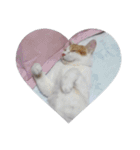 猫のミシェルちゃん（個別スタンプ：13）