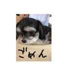 ここなっつのきもち（個別スタンプ：5）