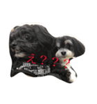 ここなっつのきもち（個別スタンプ：7）