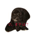 ここなっつのきもち（個別スタンプ：10）