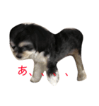 ここなっつのきもち（個別スタンプ：14）