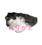 ここなっつのきもち（個別スタンプ：16）