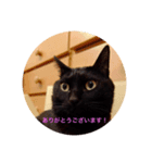 空の呟き（個別スタンプ：3）
