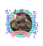プーたん（個別スタンプ：1）