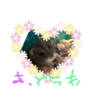 プーたん（個別スタンプ：2）