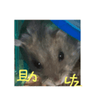 プーたん（個別スタンプ：3）