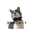 ふくちゃんの1日（個別スタンプ：4）
