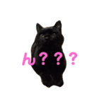 ふくちゃんの1日（個別スタンプ：5）