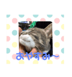 ふくちゃんの1日（個別スタンプ：6）