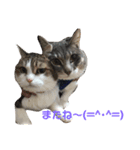 ふくちゃんの1日（個別スタンプ：7）