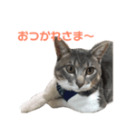 ふくちゃんの1日（個別スタンプ：8）
