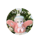 守護天使(エンジェル)からの贈り物（個別スタンプ：22）