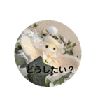 守護天使(エンジェル)からの贈り物（個別スタンプ：26）