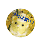 守護天使(エンジェル)からの贈り物（個別スタンプ：31）