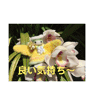 守護天使(エンジェル)からの贈り物（個別スタンプ：37）