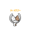 使えるにゃんこ☆（個別スタンプ：5）