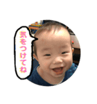 hozm SEI stamps（個別スタンプ：4）