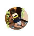 hozm SEI stamps（個別スタンプ：10）