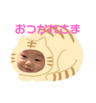 hozm SEI stamps（個別スタンプ：14）
