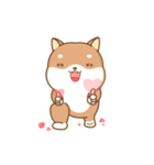 Shiba Inu Pipi - Move up1.0（個別スタンプ：15）