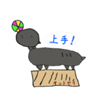 訳ありらくだ（個別スタンプ：18）