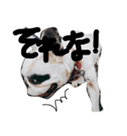 てつとじん（個別スタンプ：7）