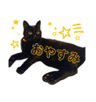 てぃもさくスタンプ（個別スタンプ：4）
