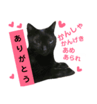 てぃもさくスタンプ（個別スタンプ：7）