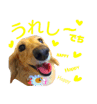 てぃもさくスタンプ（個別スタンプ：13）